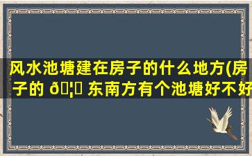 风水池塘建在房子的什么地方(房子的 🦋 东南方有个池塘好不好)